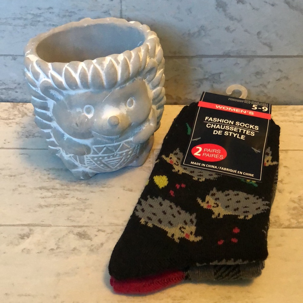 Small Natural Cement Concrete Hedgehog Planter Pot & 2 Pairs of Socks Gift Set